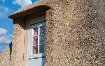 Balerno thatch roof disadvantages